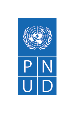 PNUD Logo Blue Small