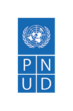 PNUD Logo Blue Small 1